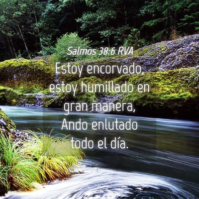 Picture 04 - Salmos 38:6 RVA - Estoy encorvado, estoy humillado en gran manera, - Bible Verse Picture