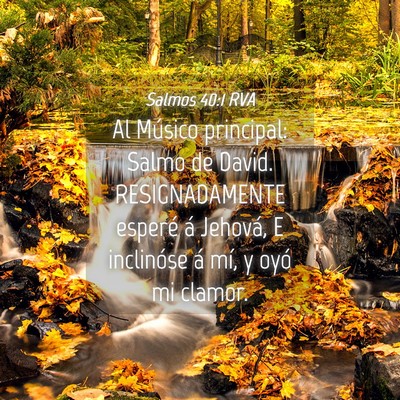 Picture 04 - Salmos 40:1 RVA - Al Músico principal: Salmo de David. - Bible Verse Picture