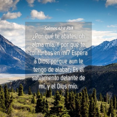 Picture 04 - Salmos 42:11 RVA - ¿Por qué te abates, oh alma mía, Y por qué te - Bible Verse Picture