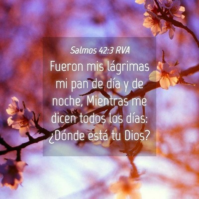 Picture 04 - Salmos 42:3 RVA - Fueron mis lágrimas mi pan de día y de noche, - Bible Verse Picture