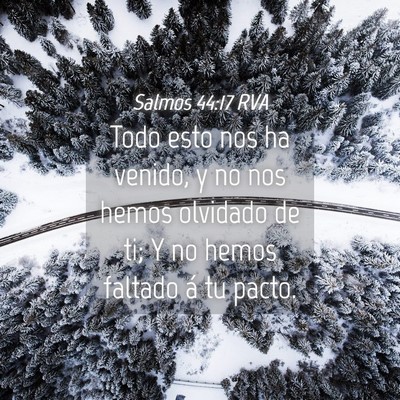 Picture 04 - Salmos 44:17 RVA - Todo esto nos ha venido, y no nos hemos olvidado - Bible Verse Picture