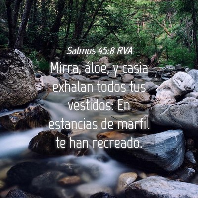 Picture 04 - Salmos 45:8 RVA - Mirra, áloe, y casia exhalan todos tus vestidos: - Bible Verse Picture