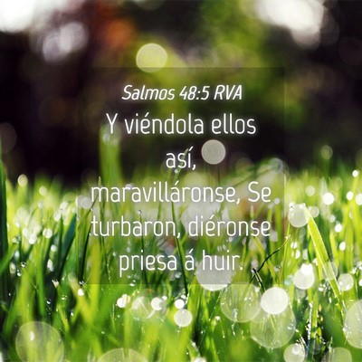Picture 04 - Salmos 48:5 RVA - Y viéndola ellos así, maravilláronse, Se - Bible Verse Picture