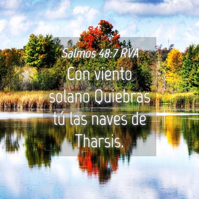 Picture 04 - Salmos 48:7 RVA - Con viento solano Quiebras tú las naves de - Bible Verse Picture
