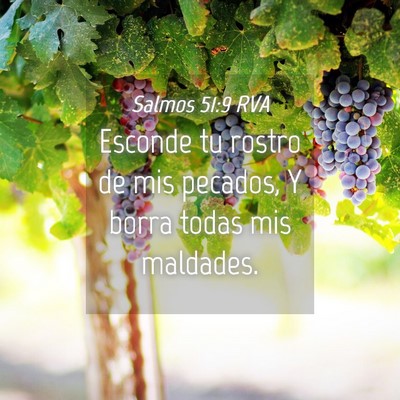 Picture 04 - Salmos 51:9 RVA - Esconde tu rostro de mis pecados, Y borra todas - Bible Verse Picture