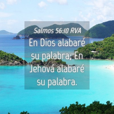 Picture 04 - Salmos 56:10 RVA - En Dios alabaré su palabra; En Jehová alabaré - Bible Verse Picture
