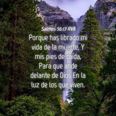 Picture 04 - Salmos 56:13 RVA - Porque has librado mi vida de la muerte, Y mis - Bible Verse Picture