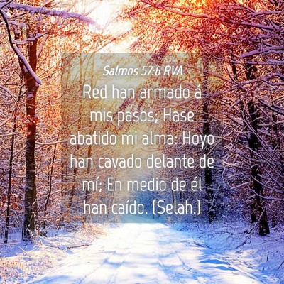Picture 04 - Salmos 57:6 RVA - Red han armado á mis pasos; Hase abatido mi - Bible Verse Picture