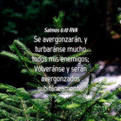 Picture 04 - Salmos 6:10 RVA - Se avergonzarán, y turbaránse mucho todos mis - Bible Verse Picture