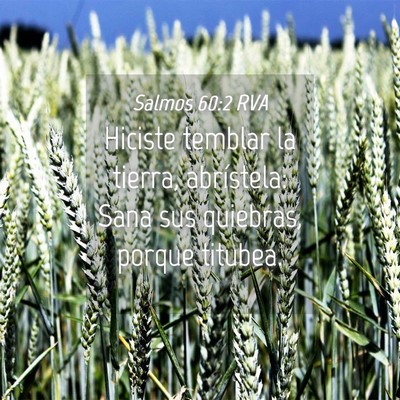 Picture 04 - Salmos 60:2 RVA - Hiciste temblar la tierra, abrístela: Sana sus - Bible Verse Picture