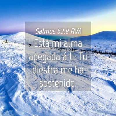 Picture 04 - Salmos 63:8 RVA - Está mi alma apegada á ti: Tu diestra me ha - Bible Verse Picture