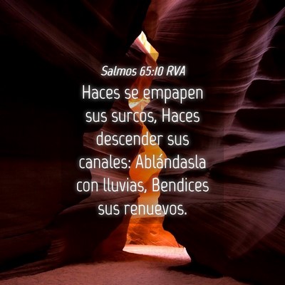 Picture 04 - Salmos 65:10 RVA - Haces se empapen sus surcos, Haces descender sus - Bible Verse Picture