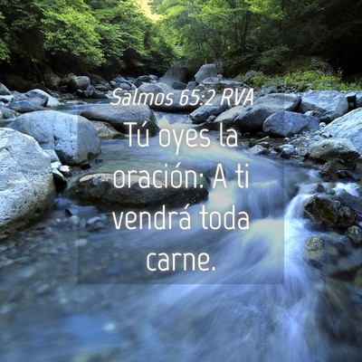 Picture 04 - Salmos 65:2 RVA - Tú oyes la oración: A ti vendrá toda - Bible Verse Picture