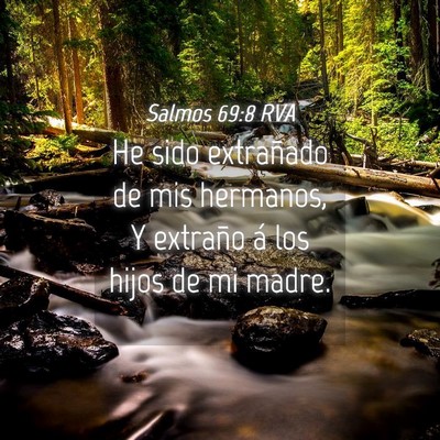 Picture 04 - Salmos 69:8 RVA - He sido extrañado de mis hermanos, Y extraño á - Bible Verse Picture