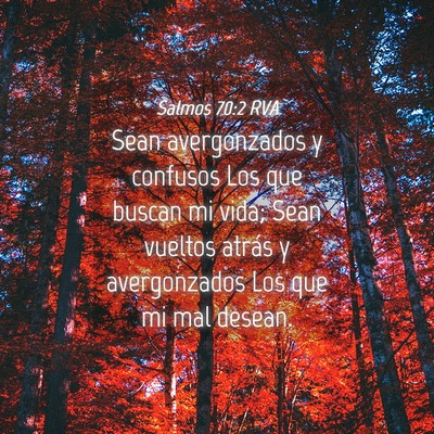 Picture 04 - Salmos 70:2 RVA - Sean avergonzados y confusos Los que buscan mi - Bible Verse Picture
