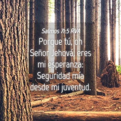 Picture 04 - Salmos 71:5 RVA - Porque tú, oh Señor Jehová, eres mi esperanza: - Bible Verse Picture