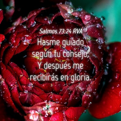 Picture 04 - Salmos 73:24 RVA - Hasme guiado según tu consejo, Y después me - Bible Verse Picture