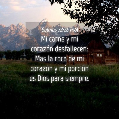 Picture 04 - Salmos 73:26 RVA - Mi carne y mi corazón desfallecen: Mas la roca - Bible Verse Picture