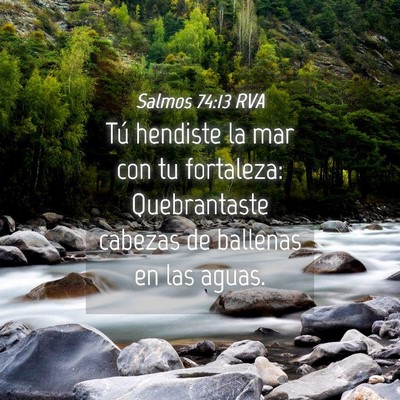 Picture 04 - Salmos 74:13 RVA - Tú hendiste la mar con tu fortaleza: - Bible Verse Picture