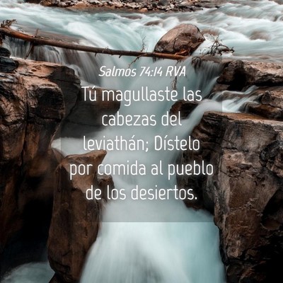 Picture 04 - Salmos 74:14 RVA - Tú magullaste las cabezas del leviathán; - Bible Verse Picture