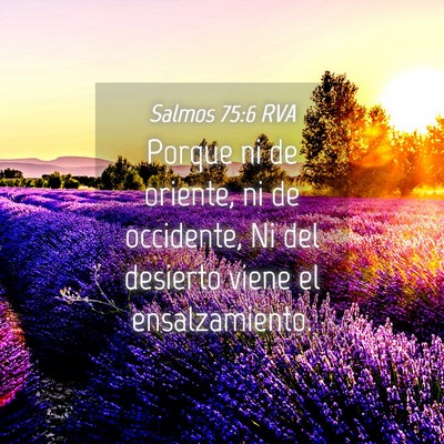 Picture 04 - Salmos 75:6 RVA - Porque ni de oriente, ni de occidente, Ni del - Bible Verse Picture