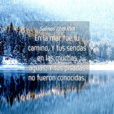 Picture 04 - Salmos 77:19 RVA - En la mar fué tu camino, Y tus sendas en las - Bible Verse Picture