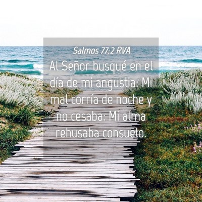 Picture 04 - Salmos 77:2 RVA - Al Señor busqué en el día de mi angustia: Mi - Bible Verse Picture