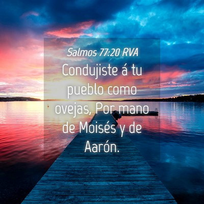 Picture 04 - Salmos 77:20 RVA - Condujiste á tu pueblo como ovejas, Por mano de - Bible Verse Picture