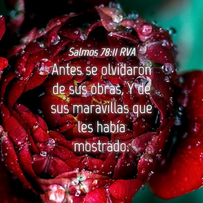 Picture 04 - Salmos 78:11 RVA - Antes se olvidaron de sus obras, Y de sus - Bible Verse Picture