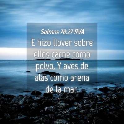 Picture 04 - Salmos 78:27 RVA - E hizo llover sobre ellos carne como polvo, Y - Bible Verse Picture