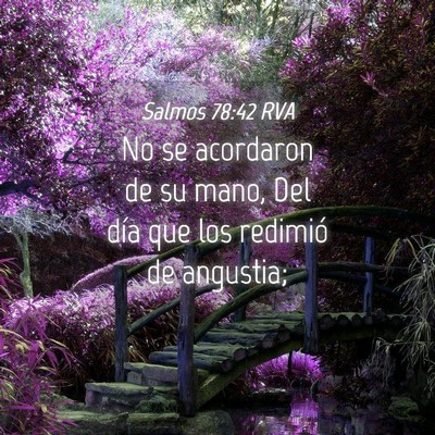 Picture 04 - Salmos 78:42 RVA - No se acordaron de su mano, Del día que los - Bible Verse Picture