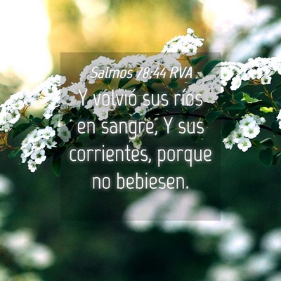 Picture 04 - Salmos 78:44 RVA - Y volvió sus ríos en sangre, Y sus corrientes, - Bible Verse Picture