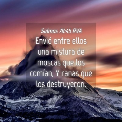 Picture 04 - Salmos 78:45 RVA - Envió entre ellos una mistura de moscas que los - Bible Verse Picture