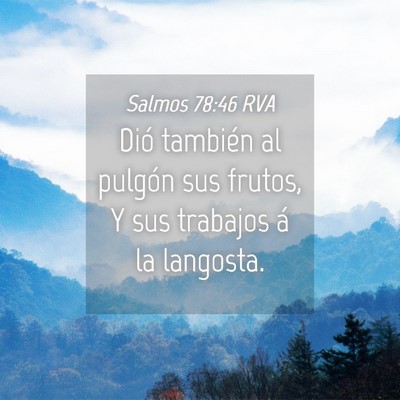 Picture 04 - Salmos 78:46 RVA - Dió también al pulgón sus frutos, Y sus - Bible Verse Picture