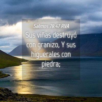 Picture 04 - Salmos 78:47 RVA - Sus viñas destruyó con granizo, Y sus - Bible Verse Picture