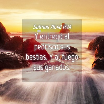 Picture 04 - Salmos 78:48 RVA - Y entregó al pedrisco sus bestias, Y al fuego - Bible Verse Picture