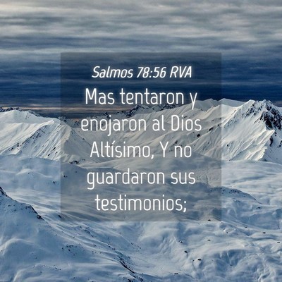 Picture 04 - Salmos 78:56 RVA - Mas tentaron y enojaron al Dios Altísimo, Y no - Bible Verse Picture