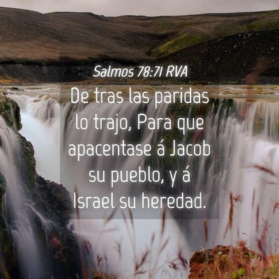 Picture 04 - Salmos 78:71 RVA - De tras las paridas lo trajo, Para que apacentase - Bible Verse Picture