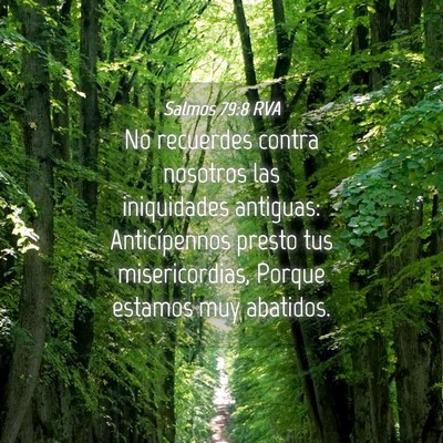 Picture 04 - Salmos 79:8 RVA - No recuerdes contra nosotros las iniquidades - Bible Verse Picture
