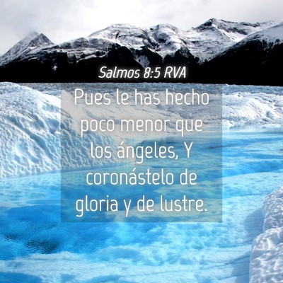 Picture 04 - Salmos 8:5 RVA - Pues le has hecho poco menor que los ángeles, Y - Bible Verse Picture