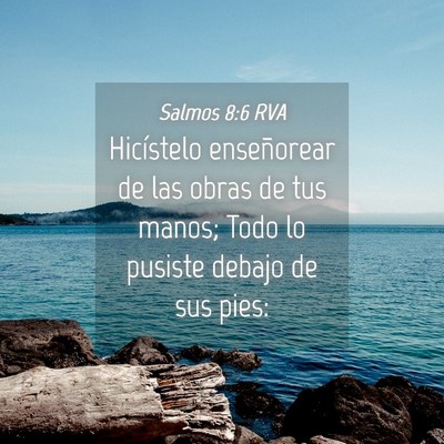 Picture 04 - Salmos 8:6 RVA - Hicístelo enseñorear de las obras de tus manos; - Bible Verse Picture