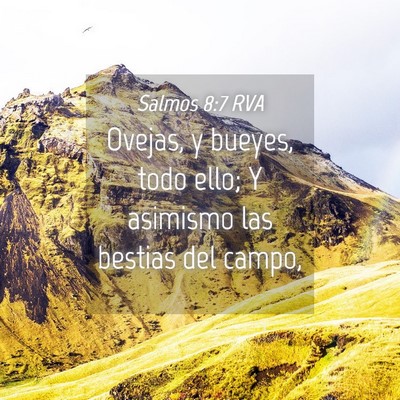Picture 04 - Salmos 8:7 RVA - Ovejas, y bueyes, todo ello; Y asimismo las - Bible Verse Picture