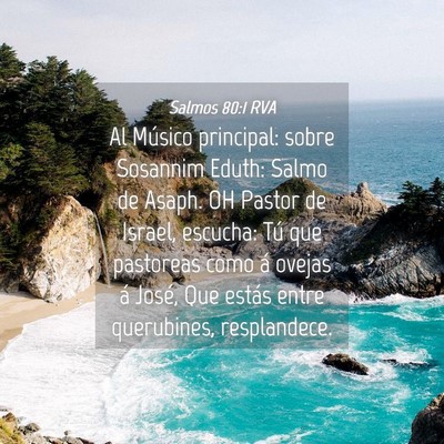 Picture 04 - Salmos 80:1 RVA - Al Músico principal: sobre Sosannim Eduth: Salmo - Bible Verse Picture