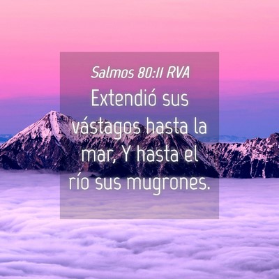 Picture 04 - Salmos 80:11 RVA - Extendió sus vástagos hasta la mar, Y hasta el - Bible Verse Picture