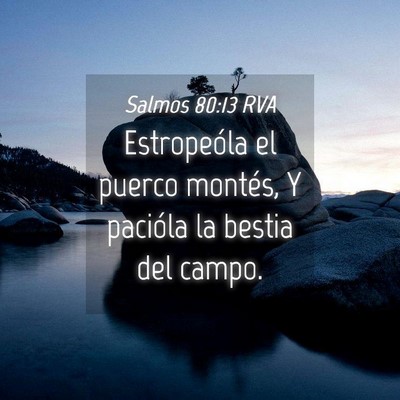Picture 04 - Salmos 80:13 RVA - Estropeóla el puerco montés, Y pacióla la - Bible Verse Picture