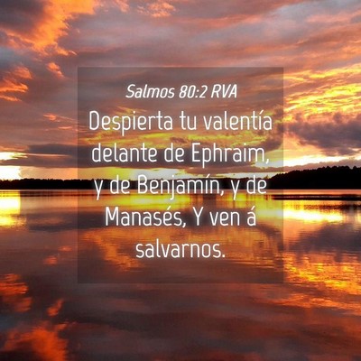 Picture 04 - Salmos 80:2 RVA - Despierta tu valentía delante de Ephraim, y de - Bible Verse Picture