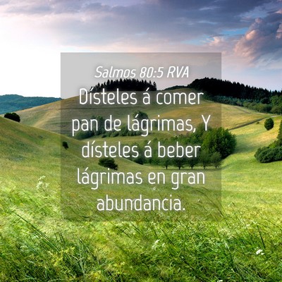 Picture 04 - Salmos 80:5 RVA - Dísteles á comer pan de lágrimas, Y dísteles - Bible Verse Picture