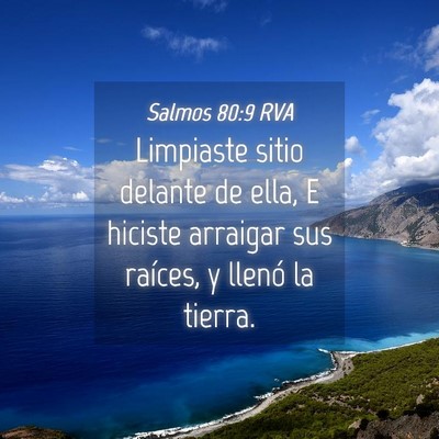 Picture 04 - Salmos 80:9 RVA - Limpiaste sitio delante de ella, E hiciste - Bible Verse Picture