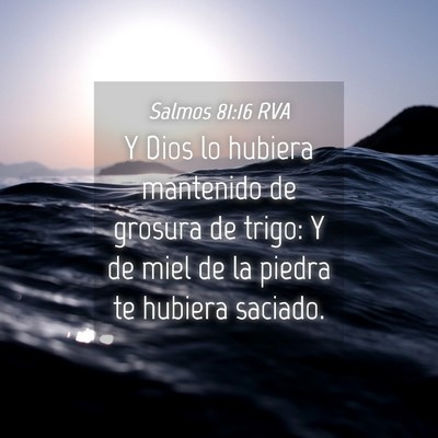 Picture 04 - Salmos 81:16 RVA - Y Dios lo hubiera mantenido de grosura de trigo: - Bible Verse Picture