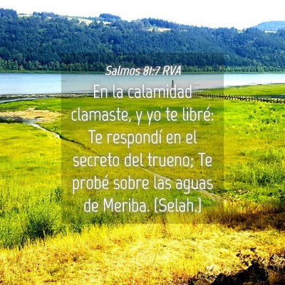 Picture 04 - Salmos 81:7 RVA - En la calamidad clamaste, y yo te libré: Te - Bible Verse Picture